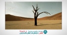 دانلود آموزش تبدیل عکس دو بعدی به سه بعدی در افترافکت و فتوشاپ  